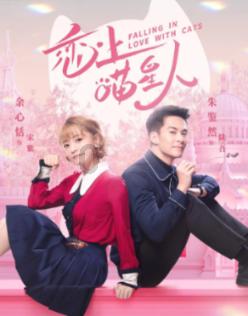 如果考研再来一次，你会做出哪些改变？