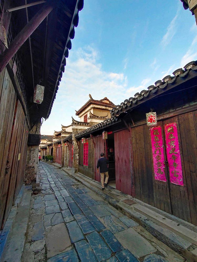 拯救穆尔小马